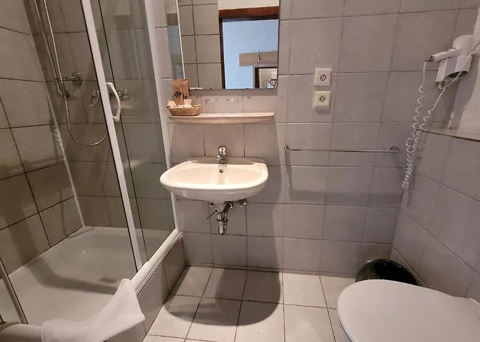 Hotel Koruna 3*